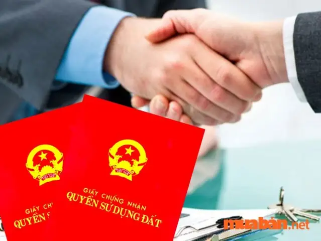 Nằm Mơ Đi Mua Đất Đánh Con Gì? Giải Mã Giấc Mơ Chi Tiết Và Ý Nghĩa