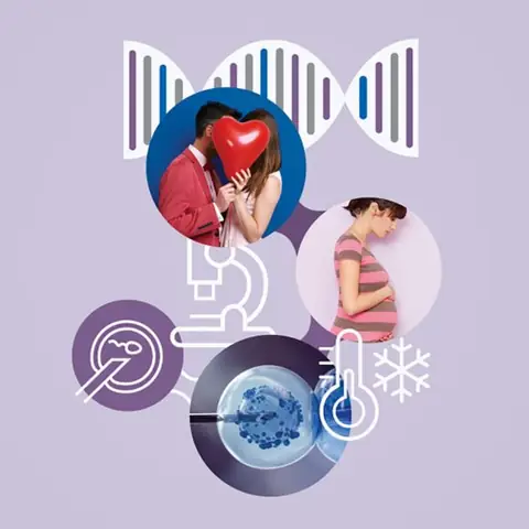 Biểu Tượng Của Sự Kết Nối Và Thỏa Mãn