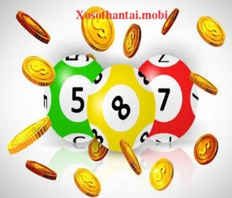 Những Bí Mật Trong Giấc Mơ Thấy Hoa Oải Hương Nên Biết
