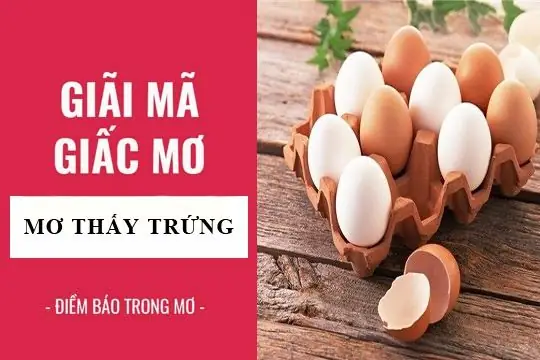 Mơ Thấy Trứng Sắp Nở Thành Con