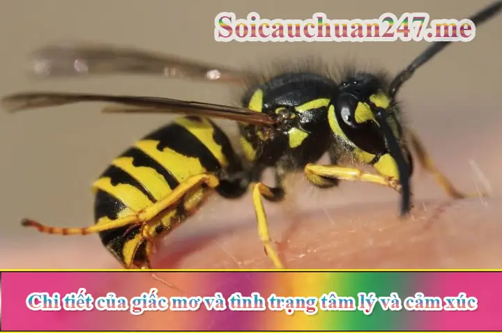 Chi Tiết Của Giấc Mơ Và Tình Trạng Tâm Lý Và Cảm Xúc