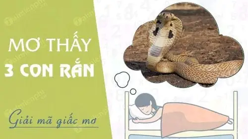 Nằm Mơ Thấy 3 Con Rắn