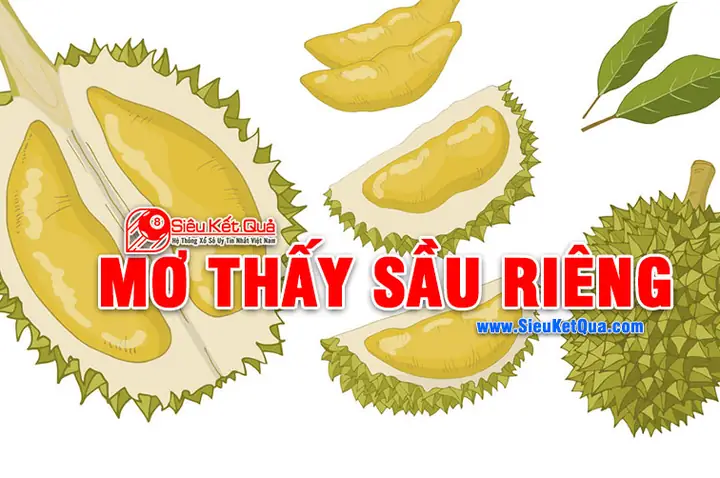 Tổng Hợp Ý Nghĩa Mơ Thấy Sầu Riêng