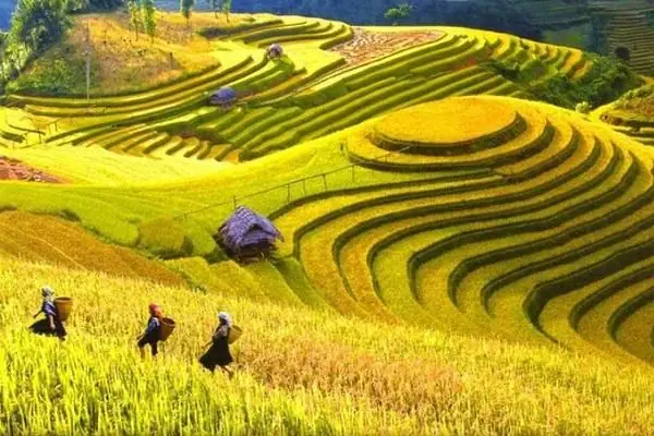 Nằm Mơ Thấy Bậc Thang: Giải Mã Điềm Báo Và Ý Nghĩa Sâu Sắc