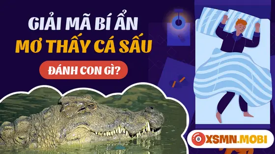 - Mơ Thấy Cá Sấu Sổng Chuồng
