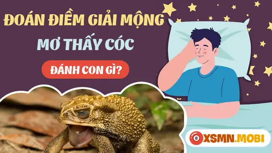 Một Số Giấc Chiêm Bao Về Con Cóc Khác