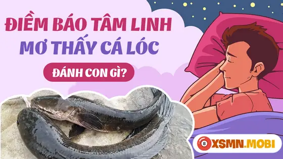 - Mơ Thấy 3 Con Cá Lóc