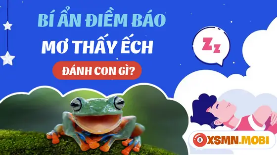 Một Số Giấc Chiêm Bao Về Con Ếch Khác