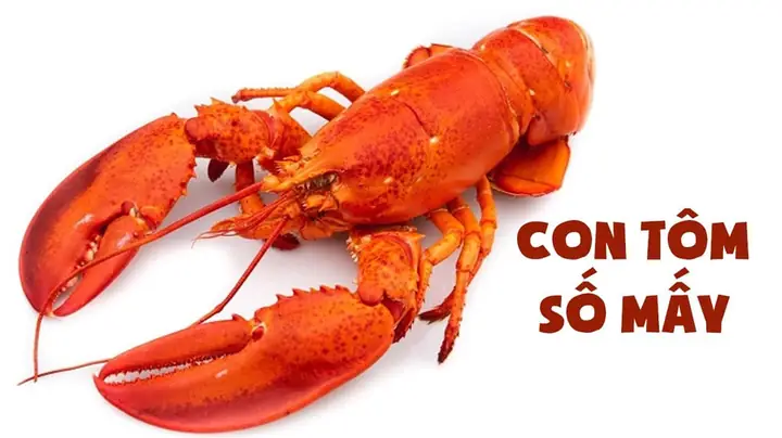 Mơ Thấy Tôm Tép, Bắt Tôm Điềm Gì ? Giải Mã Giấc Mơ Thấy Tôm ...