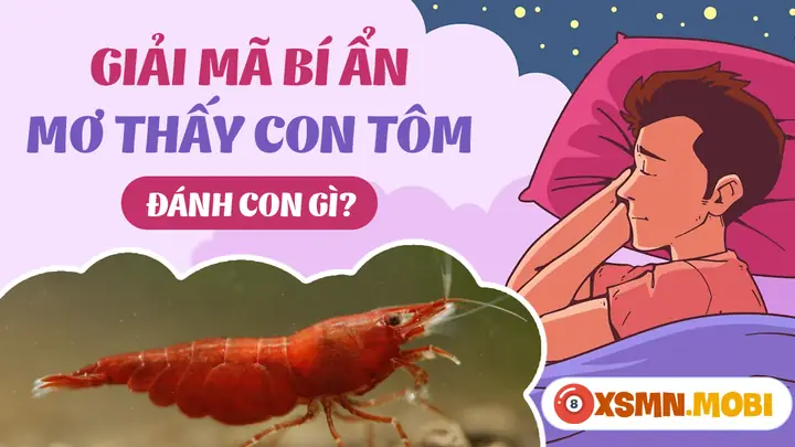 Mơ Thấy Tôm Đánh Số Gì - Chiêm Bao Thấy Con Tôm Hên Hay Xui?