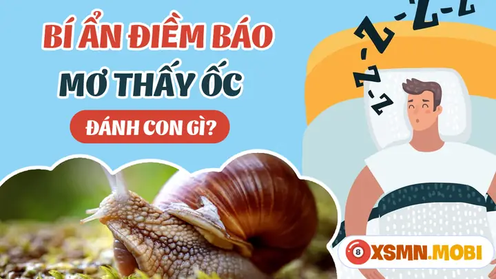 Mơ Thấy Ốc Đánh Con Gì? - Giải Mã Chiêm Bao Thấy Con Ốc