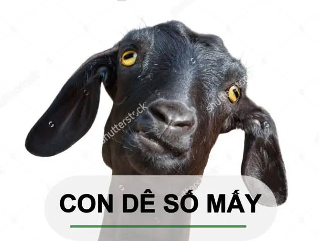 Mơ Thấy Dê Xồm Có Hành Vi Kỳ Lạ Mơ Thấy Dê Xồm Có Hành Vi Kỳ Lạ