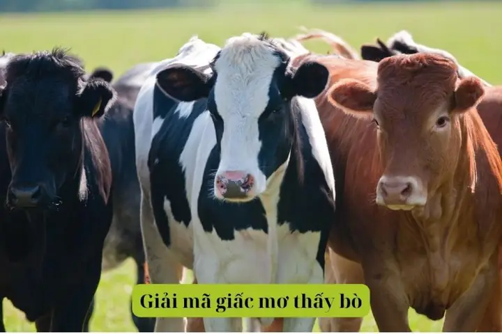 Giải Mã Giấc Mơ Thấy Bò: Điềm Báo May Mắn Hay Rủi Ro?