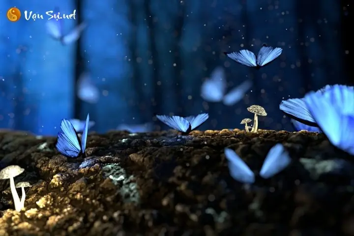 Khám Phá Ý Nghĩa Giấc Mơ Thấy Bướm Và Các Con Số May Mắn Kết Nối