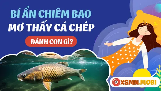 - Mơ Thấy Phóng Sinh Cá Chép