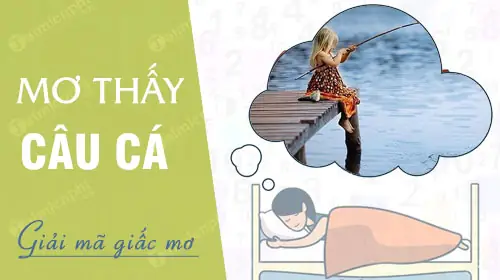 Nằm Mơ Thấy Câu Cá