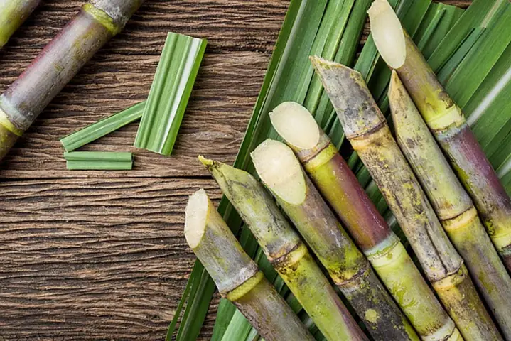 Một Số Giấc Mơ Mía Khác