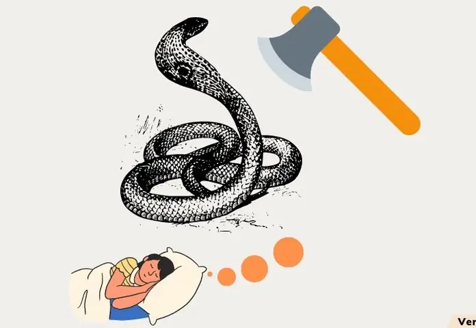 Rắn Trong Giấc Mơ: Biểu Tượng Đa Chiều