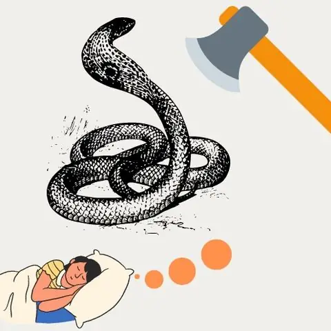 Nằm Mơ Thấy Chặt Đầu Rắn: Giải Mã Điềm Báo Và Ý Nghĩa Sâu Sắc