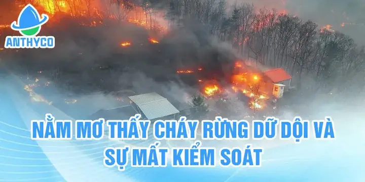 Nằm Mơ Thấy Cháy Rừng: Ý Nghĩa Và Dự Báo Tương Lai Nằm Mơ Thấy Cháy Rừng: Ý Nghĩa Và Dự Báo Tương Lai