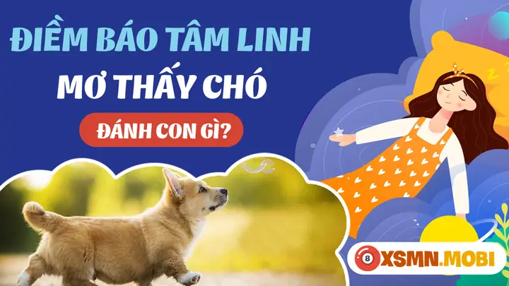 Nằm Mơ Thấy Chó Đánh Số Gì - Chiêm Bao Thấy Chó Hên Hay Xui? Nằm Mơ Thấy Chó Đánh Số Gì - Chiêm Bao Thấy Chó Hên Hay Xui?