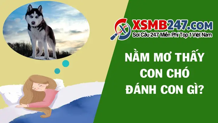 Giải Mã Giấc Mơ Thấy Con Chó Đánh Con Gì Để May Mắn | Viết Bởi Ho ... Giải Mã Giấc Mơ Thấy Con Chó Đánh Con Gì Để May Mắn | Viết Bởi Ho ...
