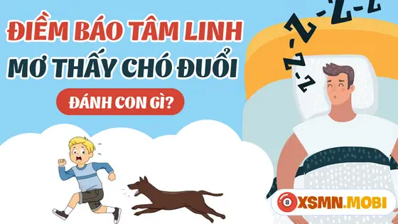 - Nằm Mơ Thấy 3 Con Chó Đuổi Cắn