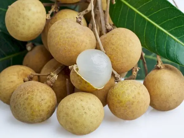 Mơ Thấy Quả Nhãn Là Điềm Gì? Đánh Con Gì Để Trúng Lớn?