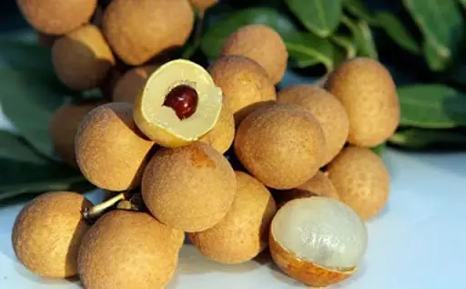 Mơ Thấy Quả Nhãn Đánh Con Gì? Ý Nghĩa Giấc Mơ Thấy Ăn Nhãn | 7th ...