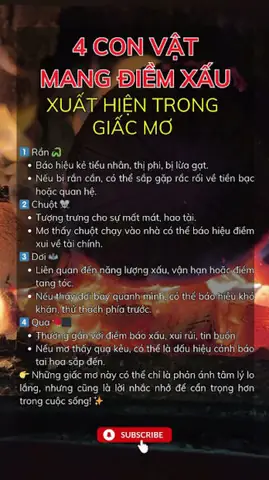 Nằm Mơ Thấy Chuột Cắn Chân – Điềm Báo Gì?
