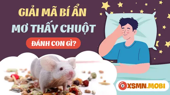 Một Số Giấc Chiêm Bao Thấy Con Chuột Khác