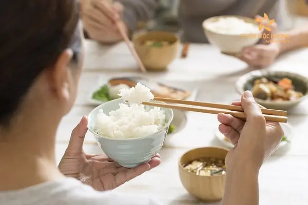 Nằm Mơ Thấy Cơm Trắng Đánh Con Gì? Giải Mã Giấc Mơ Này Nằm Mơ Thấy Cơm Trắng Đánh Con Gì? Giải Mã Giấc Mơ Này
