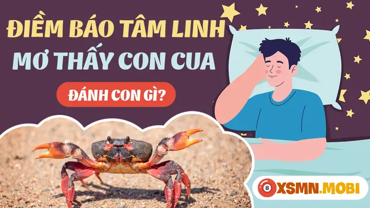 Mơ Thấy Con Cua Đánh Số Gì - Chiêm Bao Thấy Cua Hên Hay Xui?