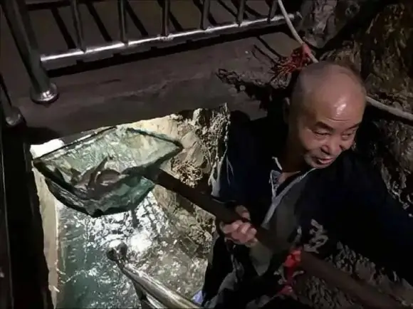 "kho Báu" Bất Ngờ Xuất Hiện