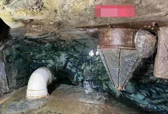 "kho Báu" Bất Ngờ Xuất Hiện "kho Báu" Bất Ngờ Xuất Hiện