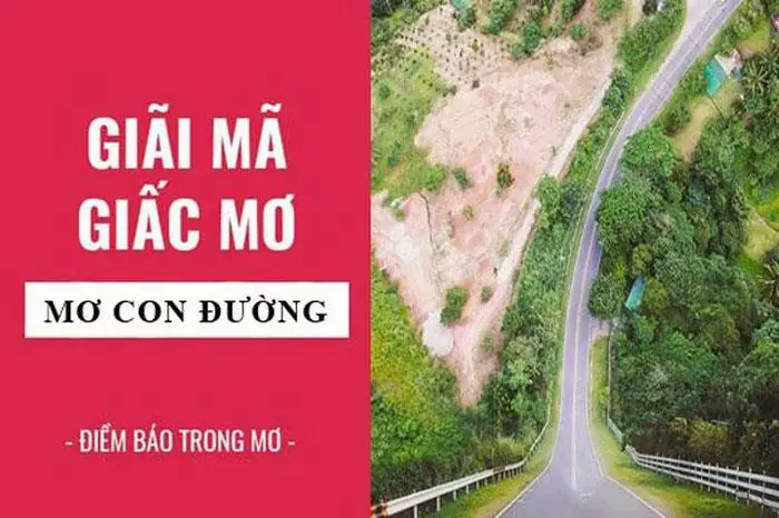 Giải Mã Giấc Mơ: Thấy Con Đường Dài Trước Mặt Là Dự Báo Điều Gì ...