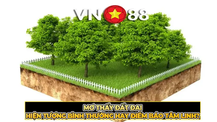 Mơ Thấy Đất Đai – Hiện Tượng Bình Thường Hay Điềm Báo Tâm Linh?