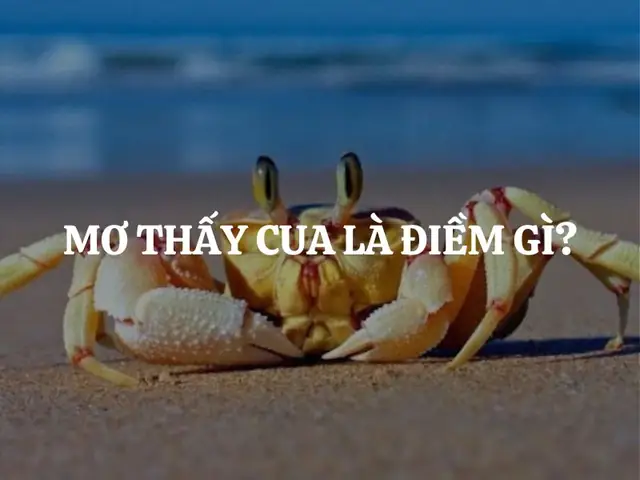 Mơ Thấy Cua Là Điềm Gì? Giải Mã Chi Tiết Giấc Mơ Về Cua