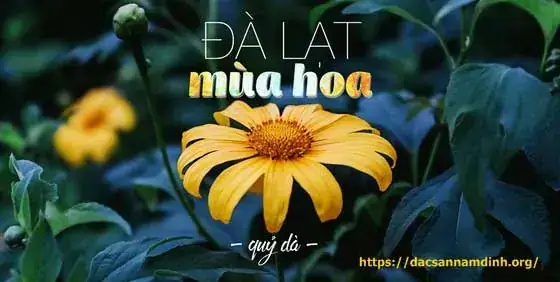 Lưu Ý Khi Sử Dụng Con Số Từ Giấc Mơ