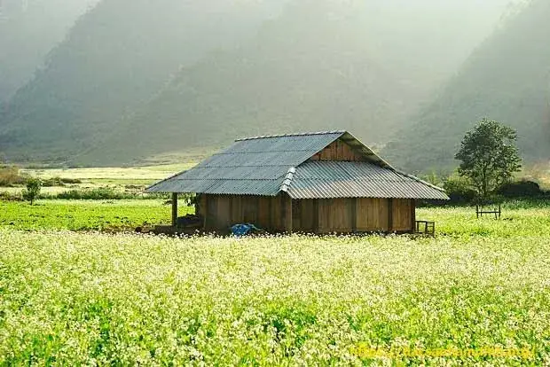 Lưu Ý Khi Sử Dụng Con Số Từ Giấc Mơ