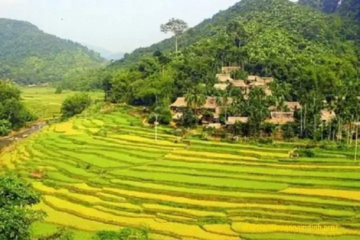 Lưu Ý Khi Sử Dụng Con Số Từ Giấc Mơ
