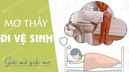 Nằm Mơ Thấy Đi Vệ Sinh Đánh Con Gì? Là Điềm Báo Gì?