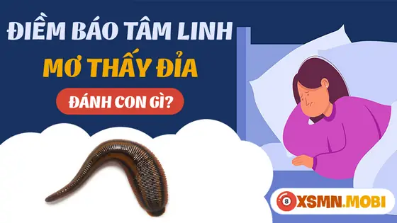 Một Số Giấc Chiêm Bao Thấy Đỉa Khác