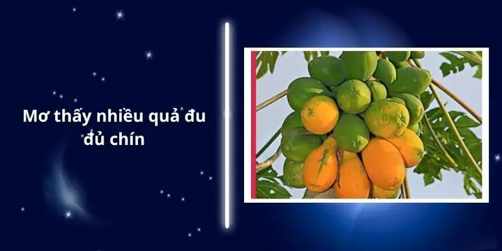 Mơ Thấy Nhiều Quả Đu Đủ Chín