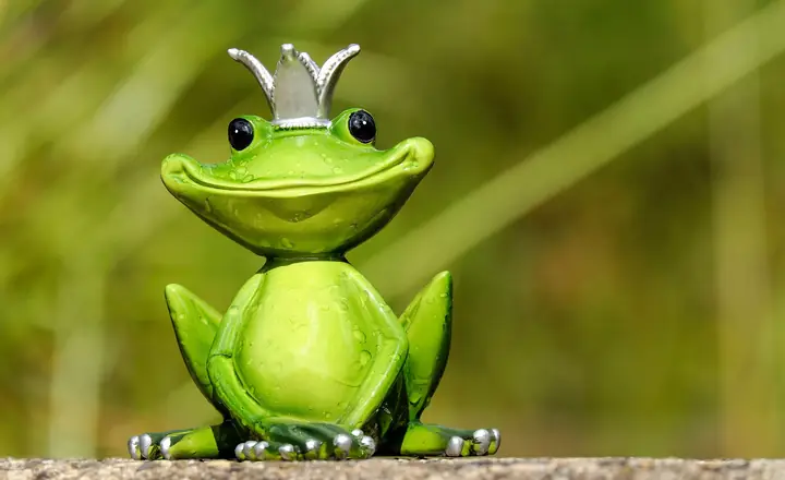 Mơ Thấy Ếch: Giấc Mơ Nhiều Ẩn Ý Mơ Thấy Ếch: Giấc Mơ Nhiều Ẩn Ý