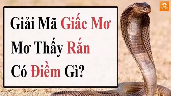 Nằm Mơ Thấy Gà Luộc Đánh Con Gì Để Trúng Lớn?