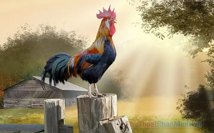 Mơ Thấy Gà Là Điềm Của Sự Phồn Thịnh Và Thành Công, Số Nhiều Đại ...
