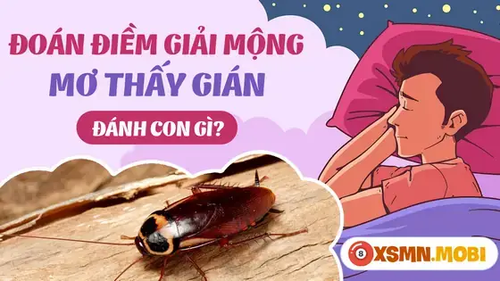 Lưu Ý Khi Sử Dụng Con Số May Mắn