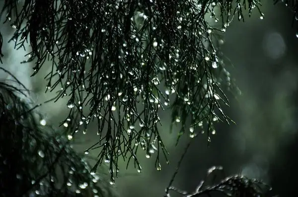 Nằm Mơ Thấy Trời Mưa To Gió Lớn, Trời Mưa Bão Nước Dột Vào Nhà Báo Điềm Gì