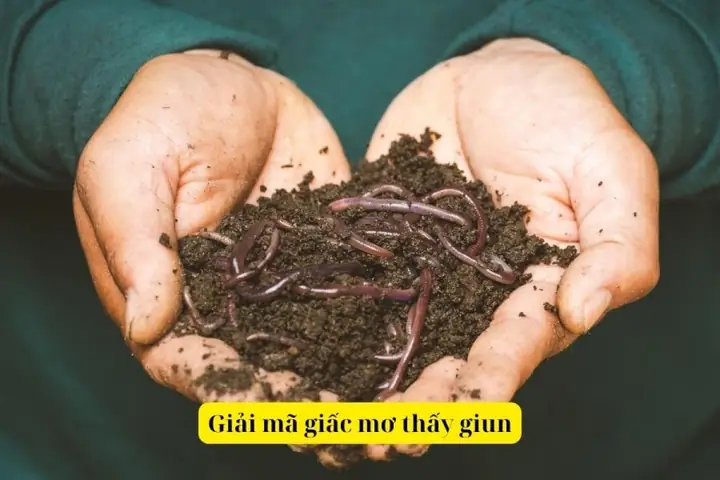 Giải Mã Giấc Mơ Thấy Giun: Điềm Báo Tốt Hay Xấu?